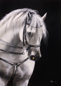 Irfan Ahmed, 24 x 36 Inch, Oil on Canvas, Horse Painting, AC-IRA-034
